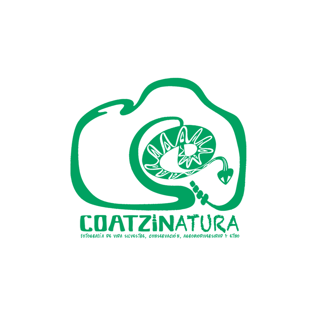 CoatziNatura