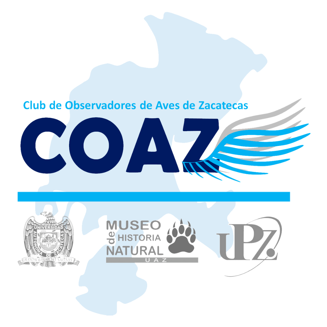 COAZ