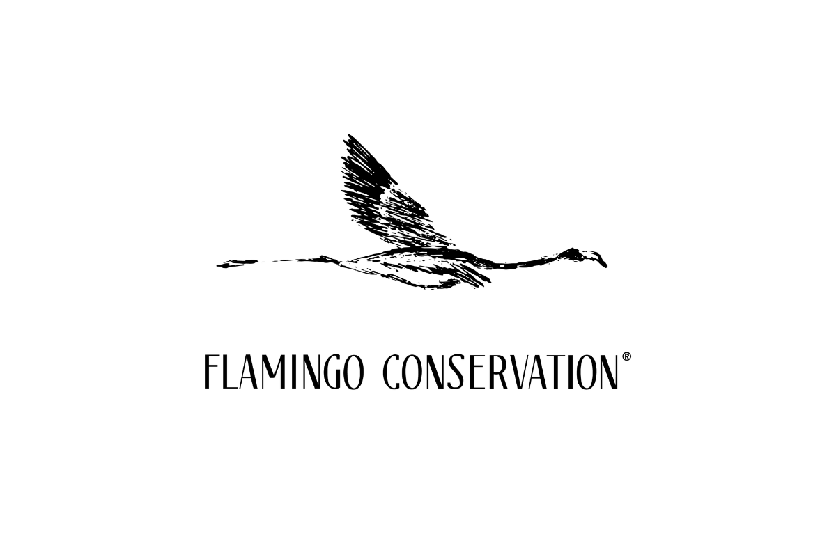 Flamingo Conservation