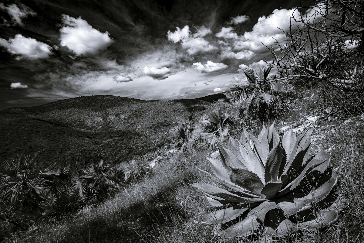 Carrusel imagenes