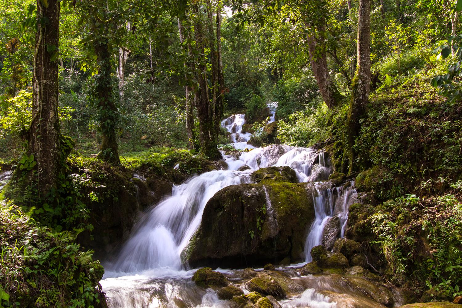 Carrusel imagenes
