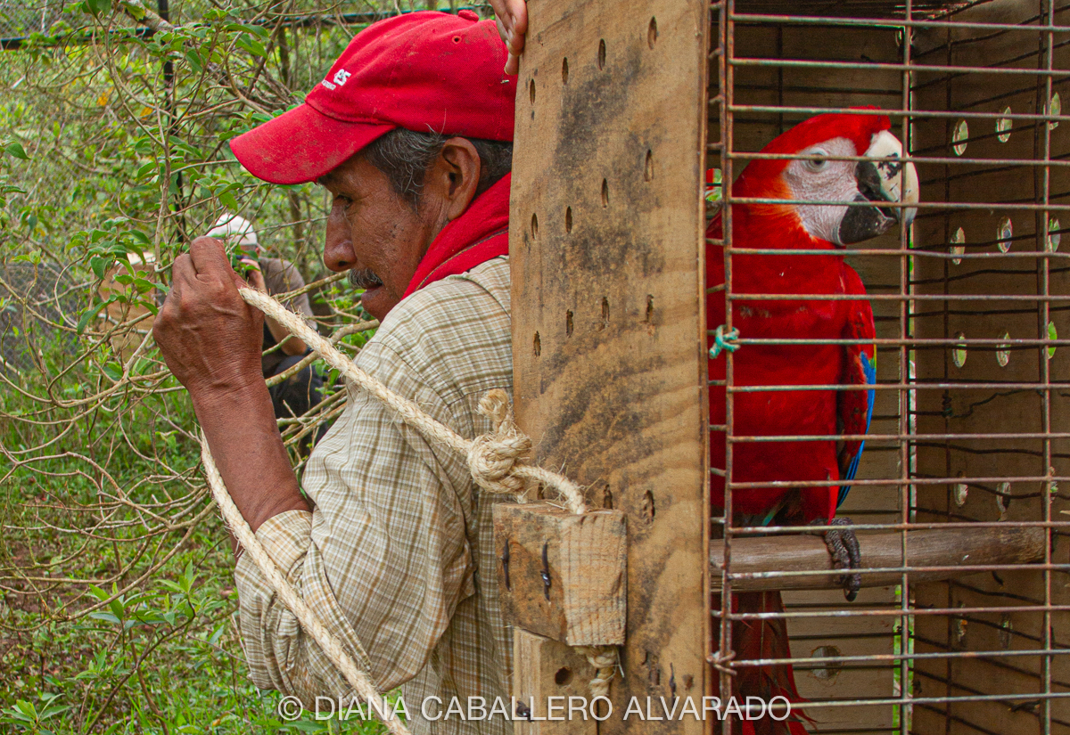 Carrusel imagenes