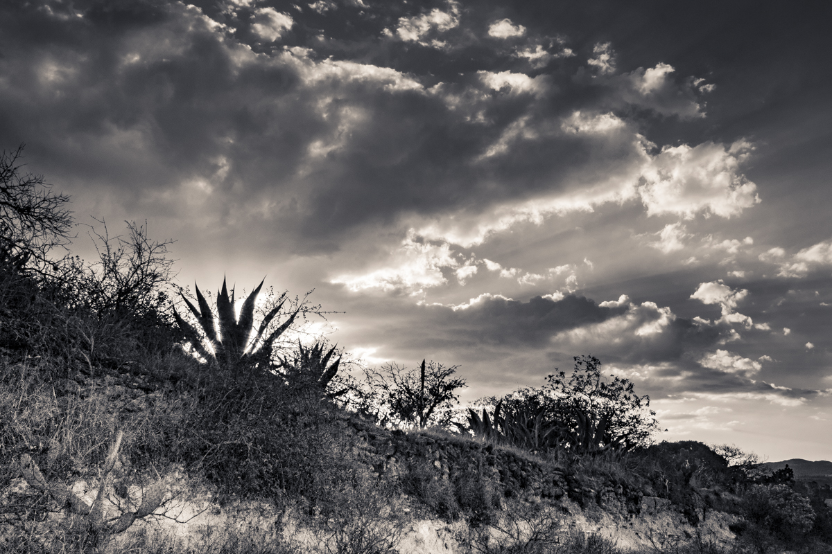 Carrusel imagenes
